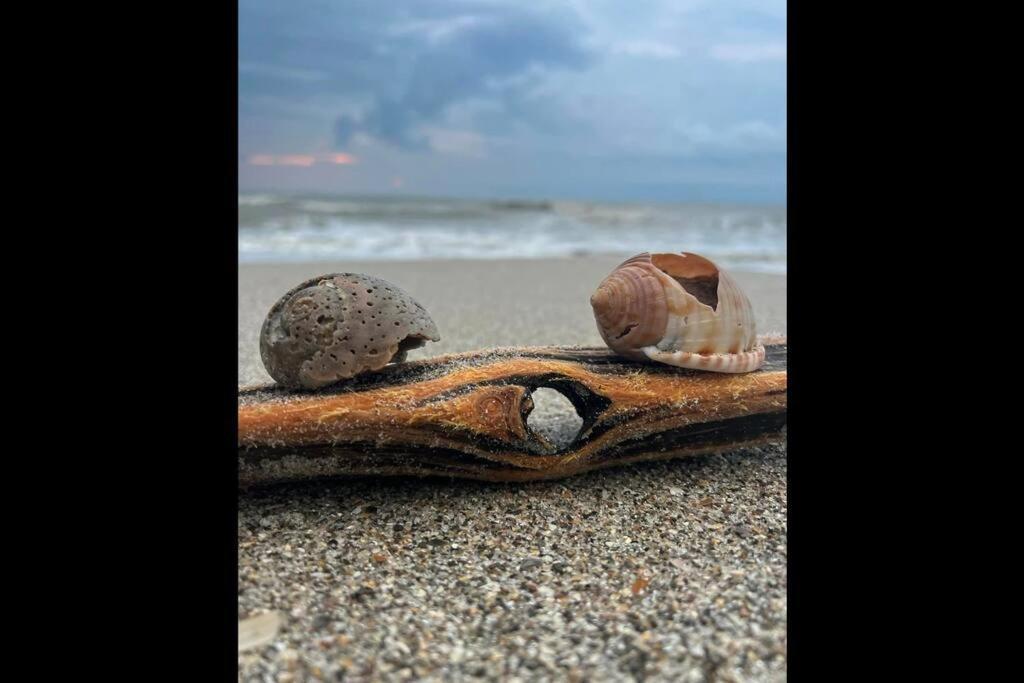 Cocoa, Beach House Eksteriør bilde